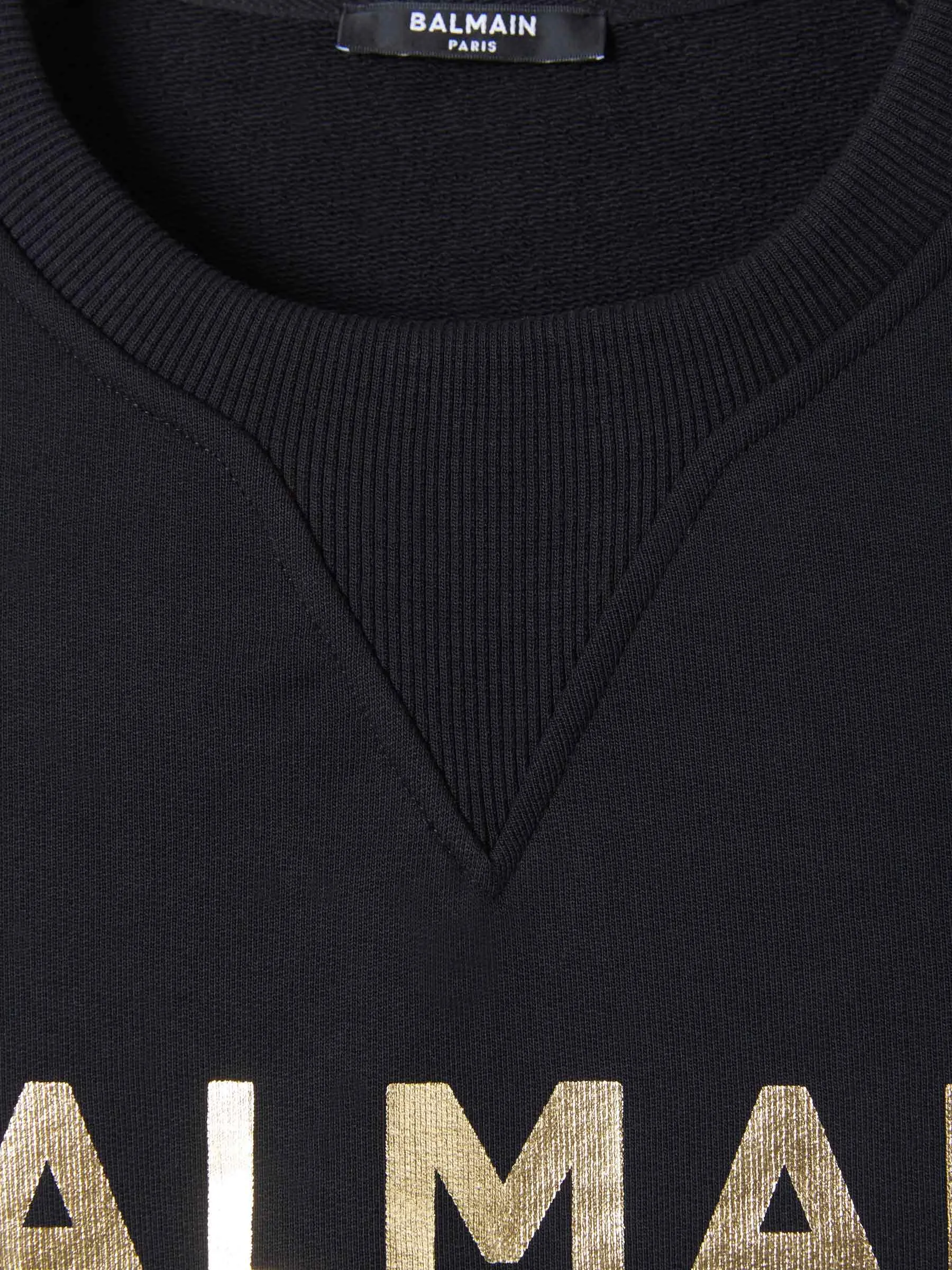 Balmain Logo Printed Crewneck Sweatshirt