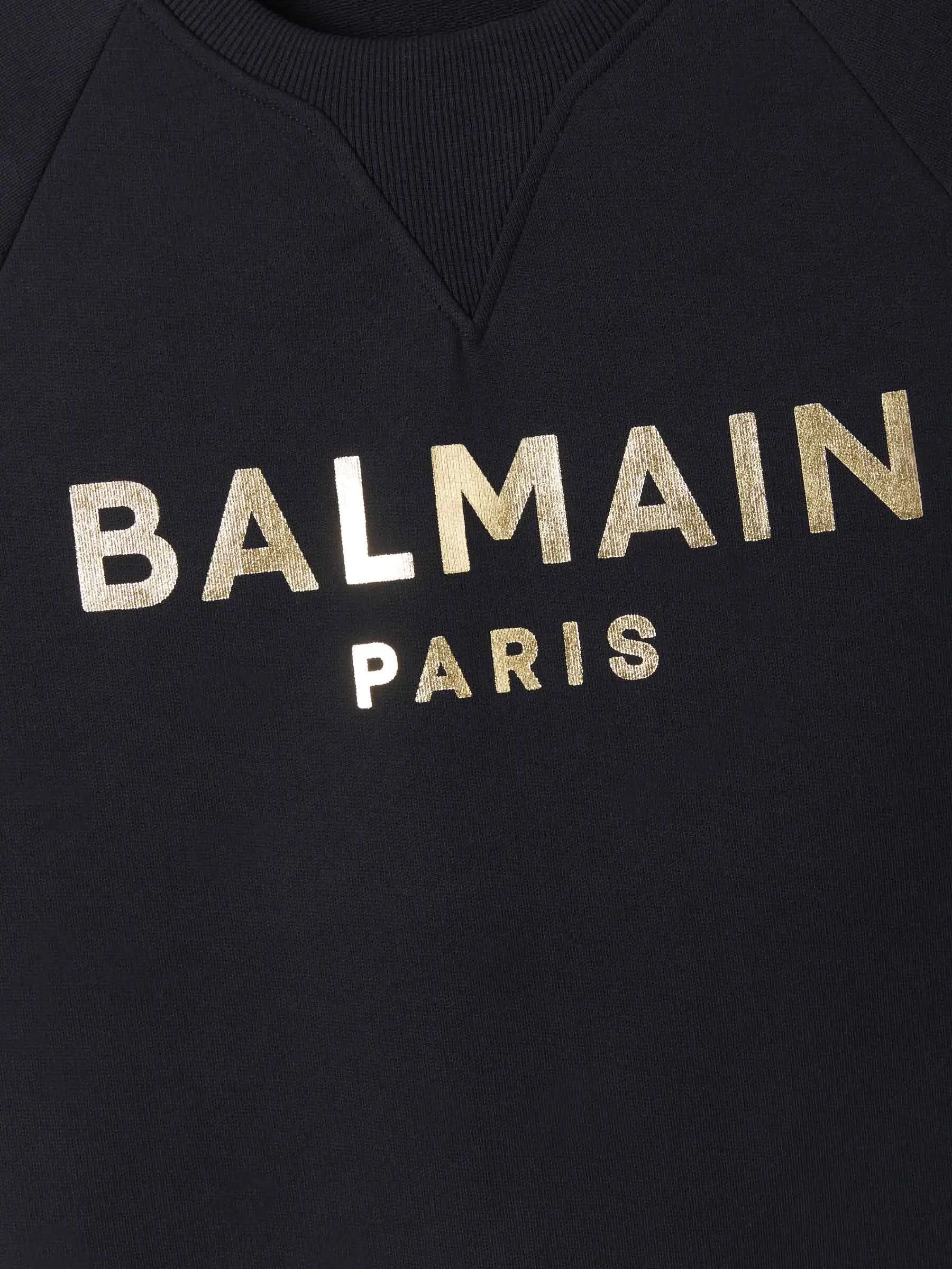 Balmain Logo Printed Crewneck Sweatshirt