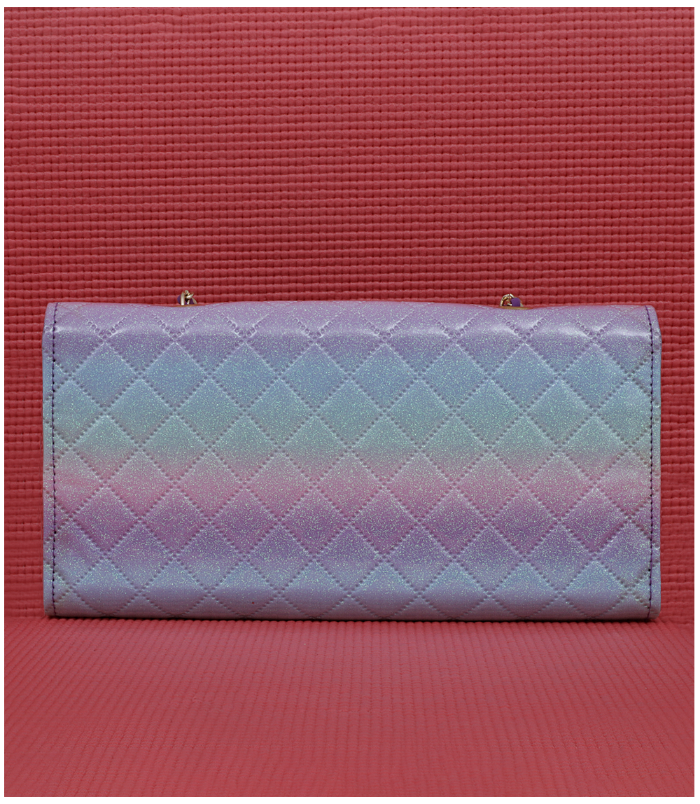 WB2247-MULTY-Women Snazzy Clutch